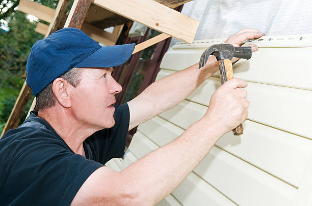 Best Vinyl Siding Installation  in Tangelo Park, FL