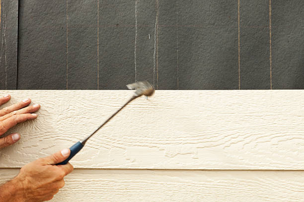Best Stucco Siding  in Tangelo Park, FL